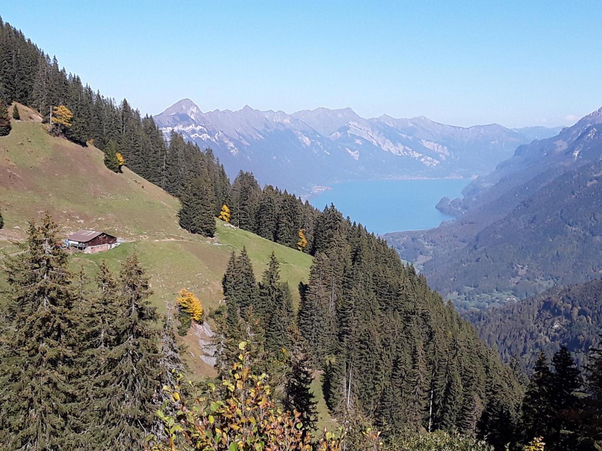 Saxeten Desalpes 아파트 외부 사진